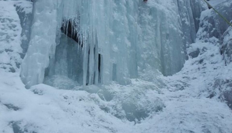 IMG-20170305-WA0007_1488741360600