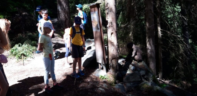 IMG-20210626-WA0032