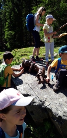 IMG-20210626-WA0036