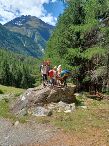 IMG-20210626-WA0067