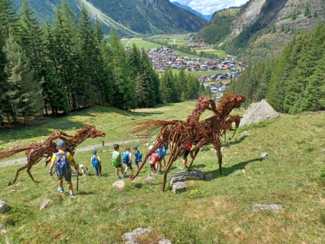 IMG-20210626-WA0072